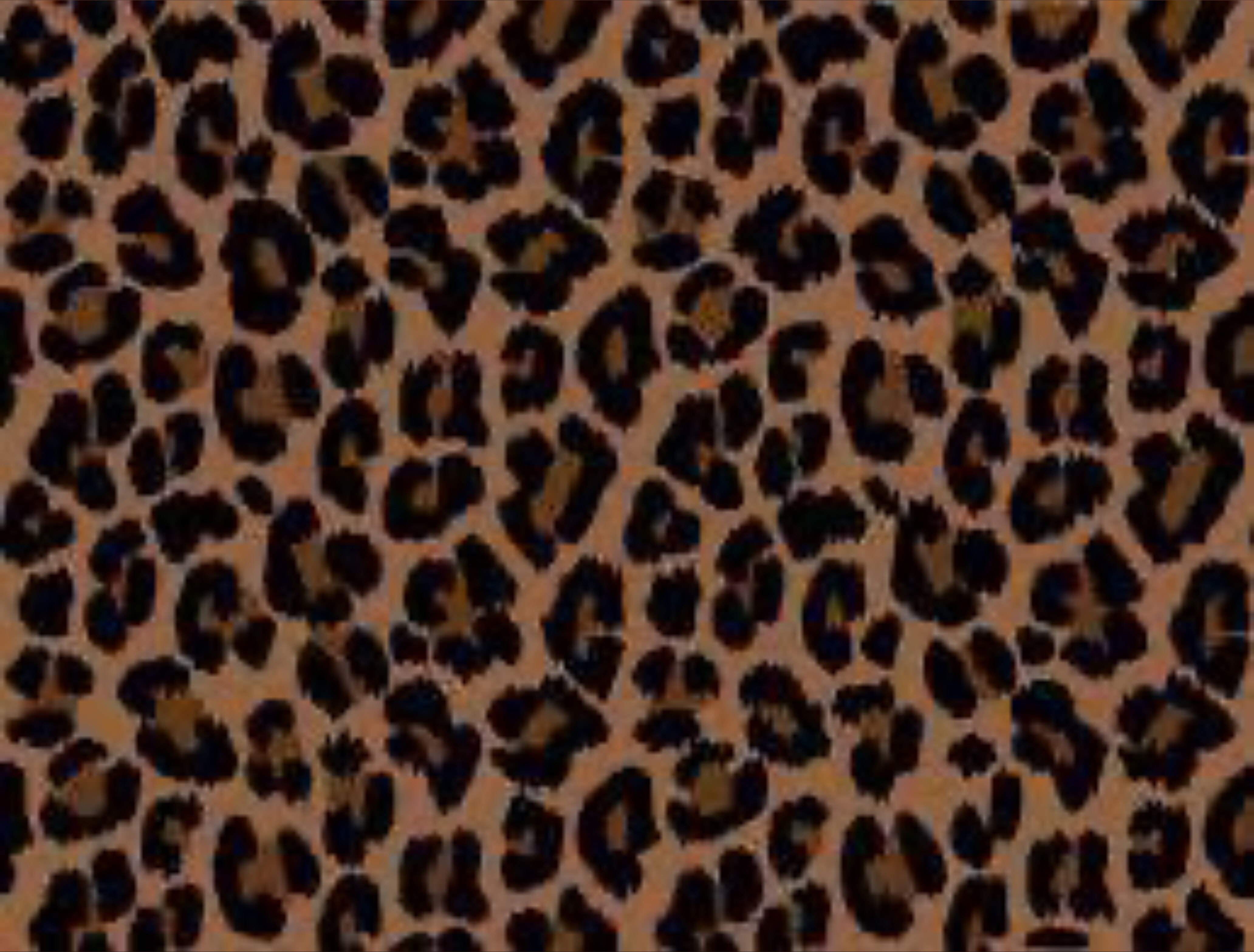 Bhaddestbratzdollll banner image