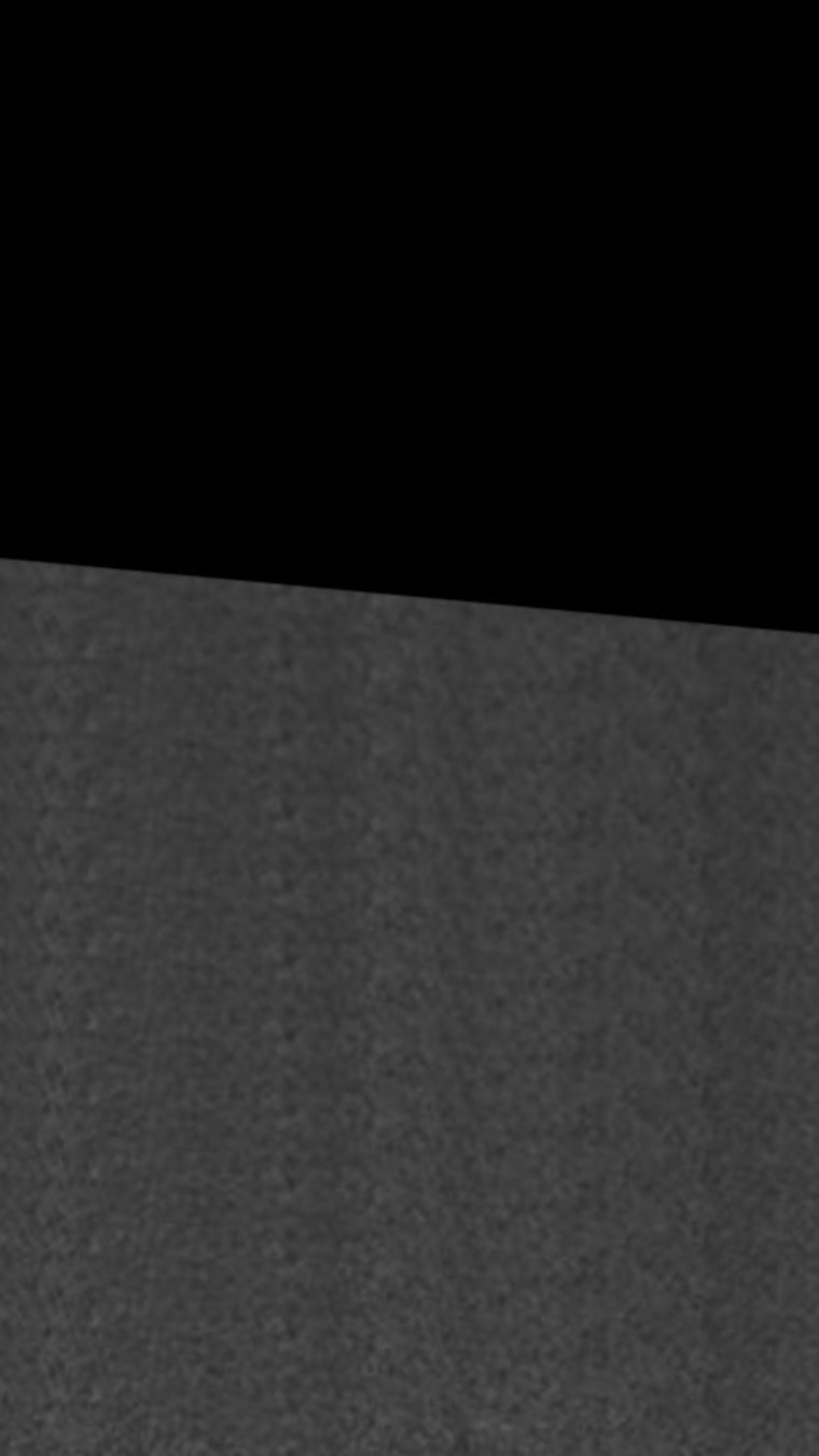 β€οΈβπ₯ BIANNCA RABBIT banner image