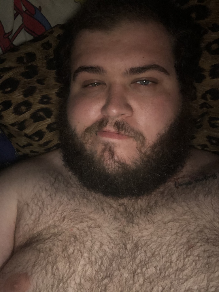 Bibearcub93 cover image