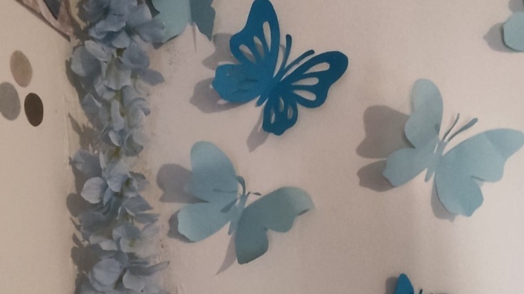 Carlita banner image
