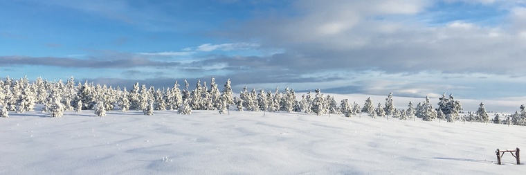 BiDaddyTop cover image