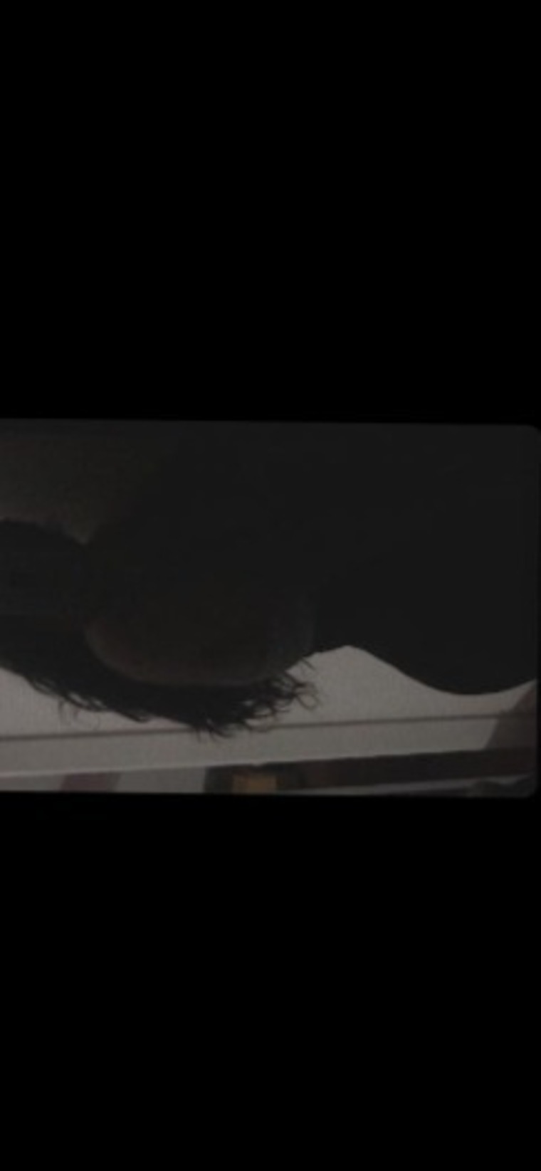 𝓑𝓲𝓮𝓵 🌻💕 cover image
