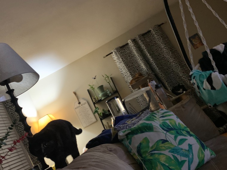 Biff banner image