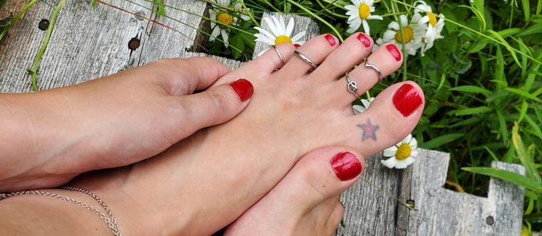bifiana banner image