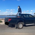 Big D Aussie avatar