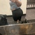 Big Booty Texan avatar