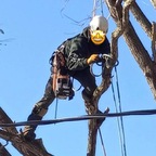 LumberJackJ avatar