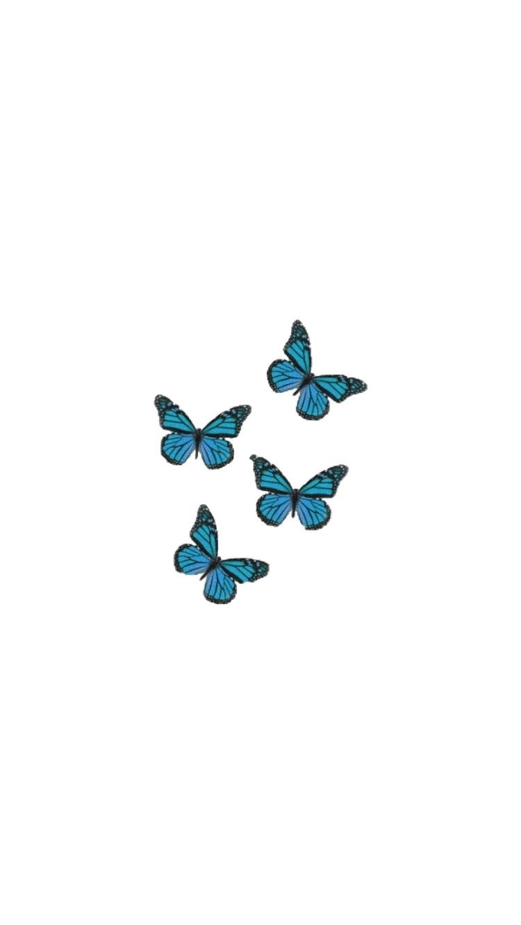 Sky banner image