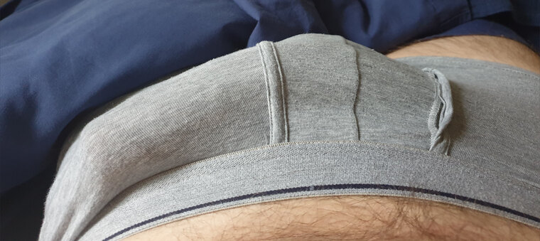 BigBulgeBoy cover image