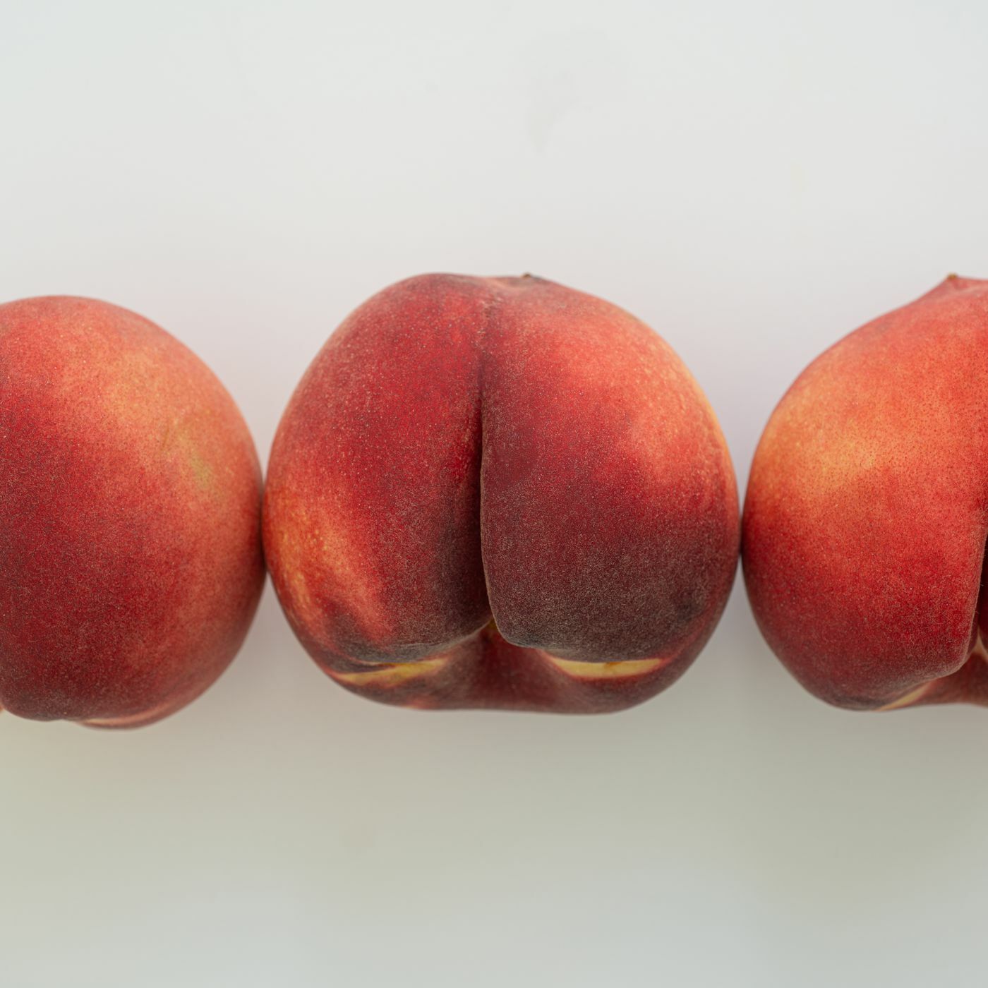 Latina BBW banner image