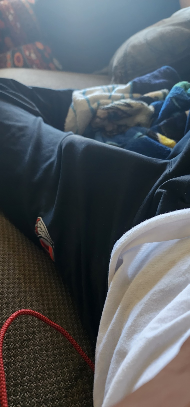 BIGDICKBANDIT banner image