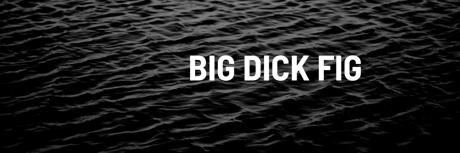 bigdickfig banner image