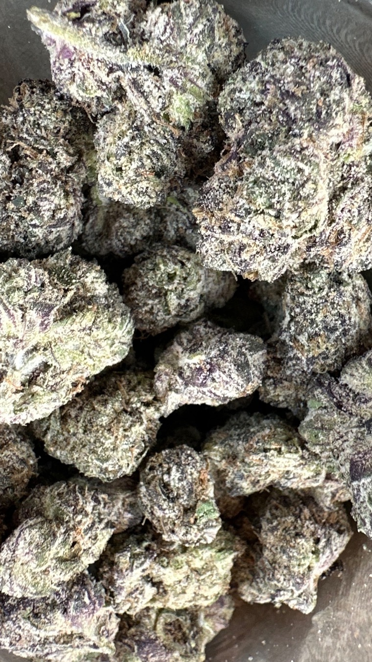 Terp King cover image