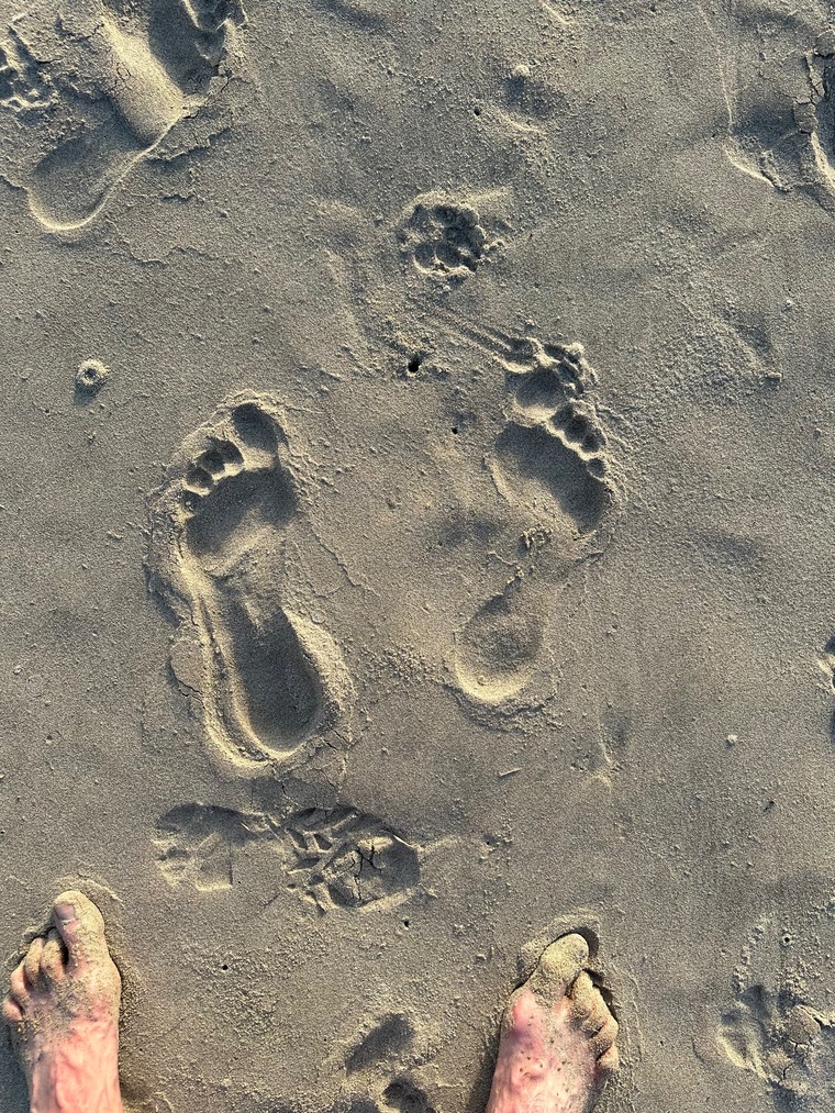 Bigfoot_abroad cover image