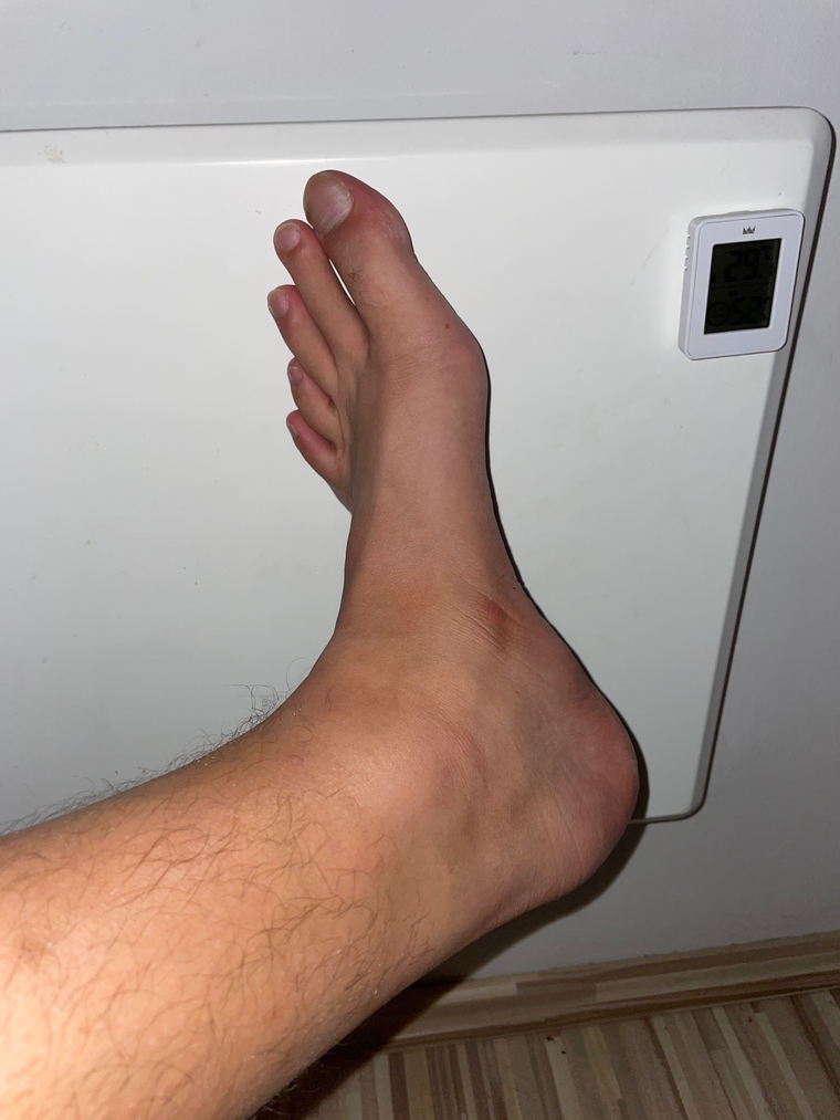 Bigfoot49 cover image