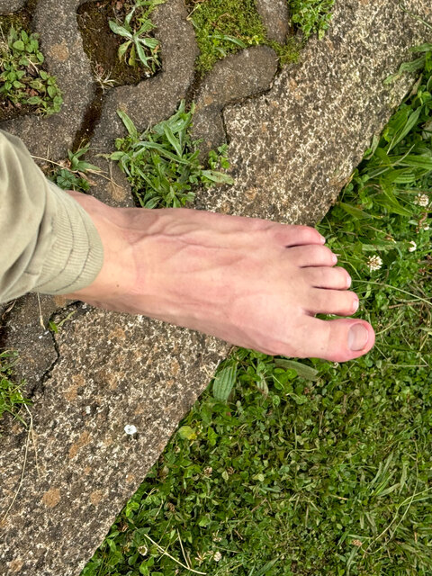 Bigfoot cover image