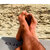 Big French Feet avatar