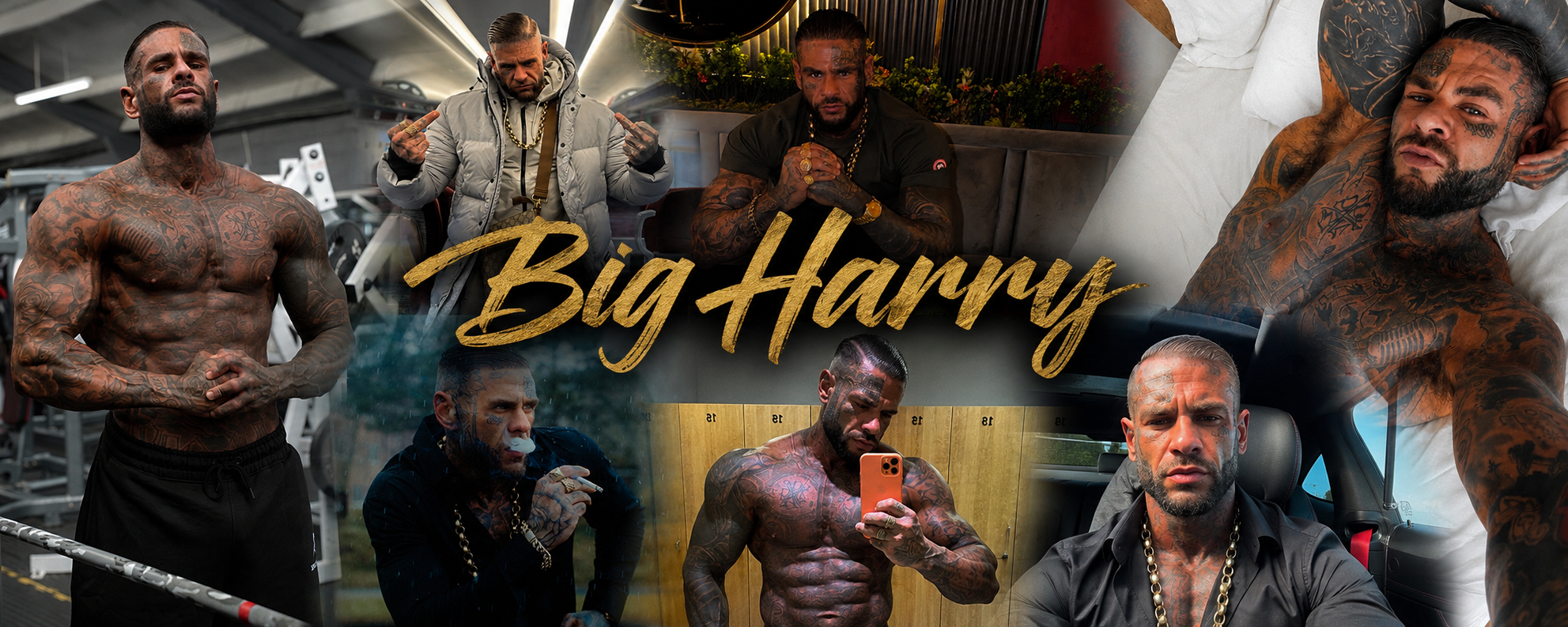 🇬🇧BIG HARRY🤪 (6FT3 100kg) banner image
