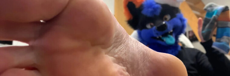 Foxiefeets banner image
