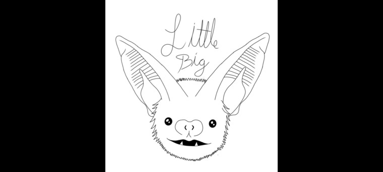 Biglittlebat cover image
