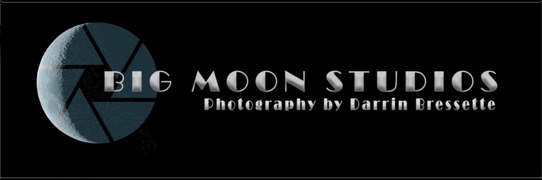 Big Moon Studios banner image