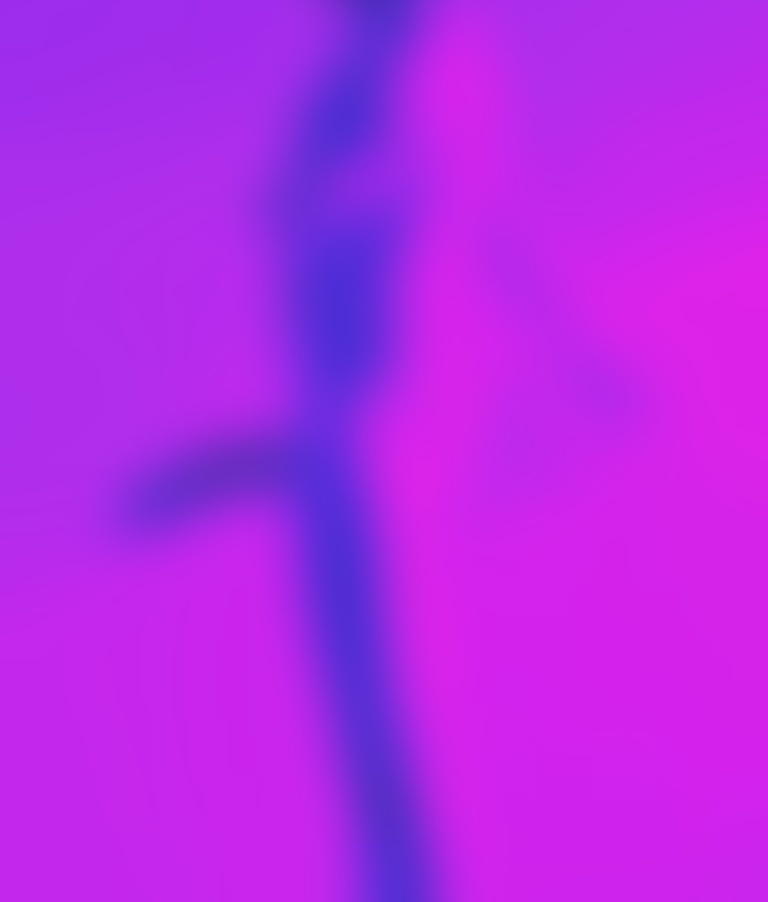 Bigmushroom24 banner image