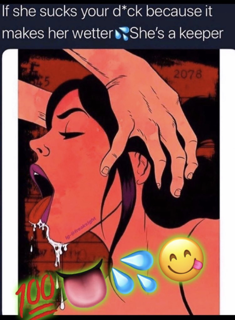 VanDingo08 cover image