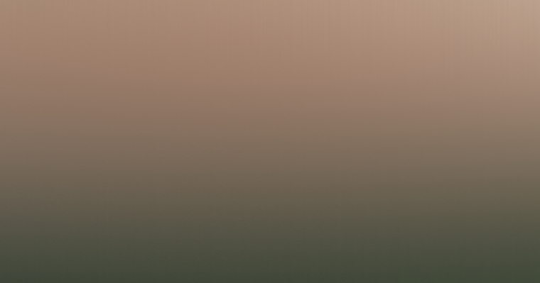 T cover image