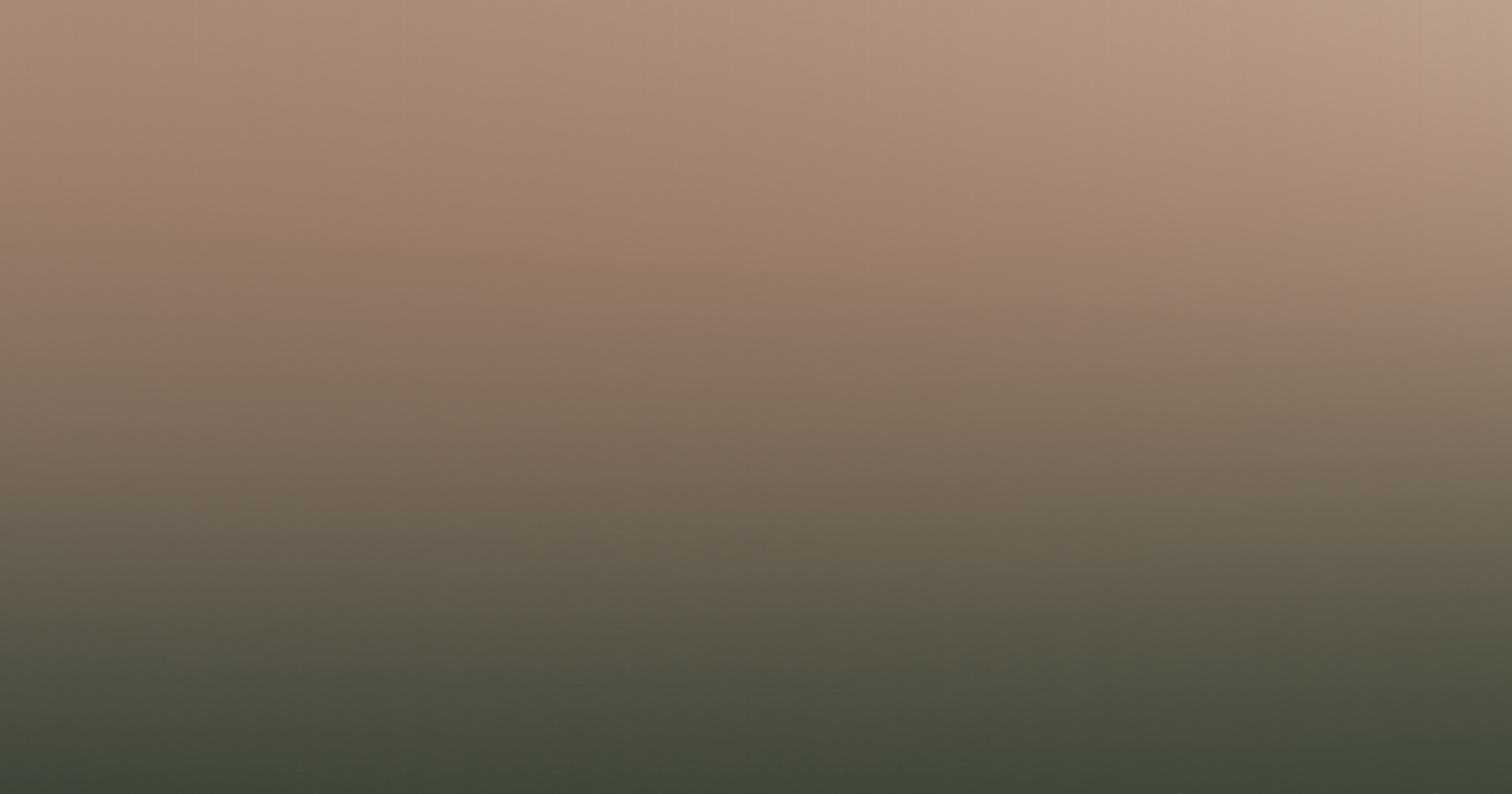 T banner image