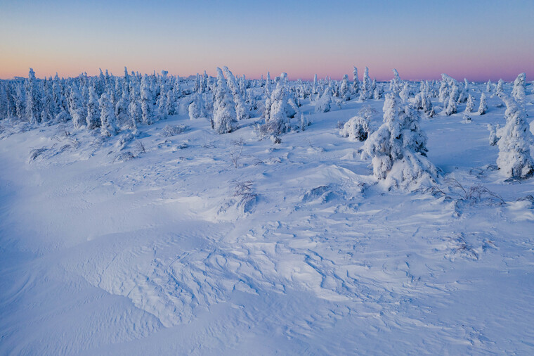 Big Thick Alaskan Man cover image