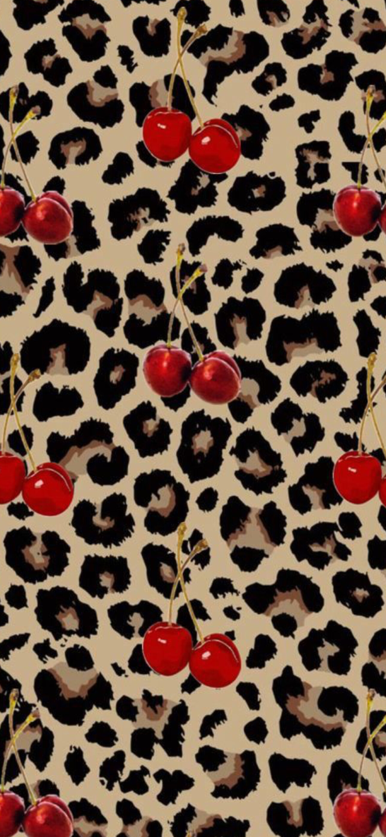 Hailey audrey🤍🍒 banner image