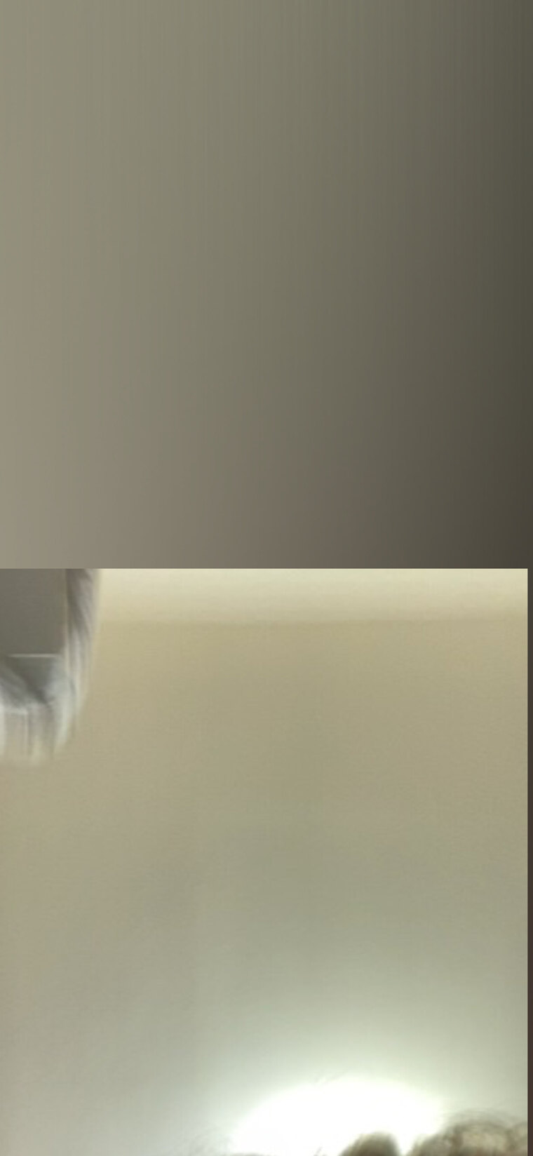 Trick Daddy banner image