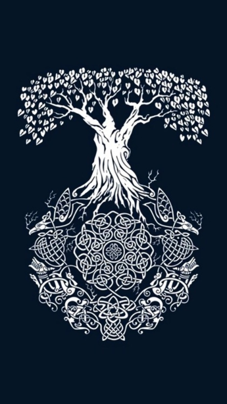 BigWolfBear cover image