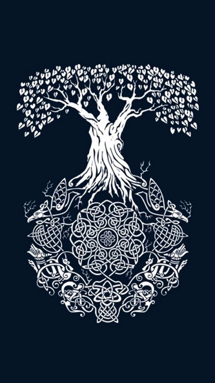 BigWolfBear banner image