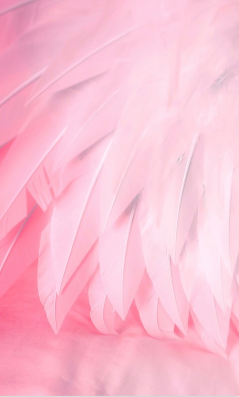 JustBillie cover image