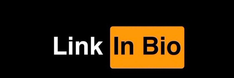 Bin bin cover image
