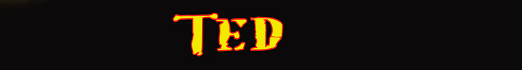 Binho Ted cover image