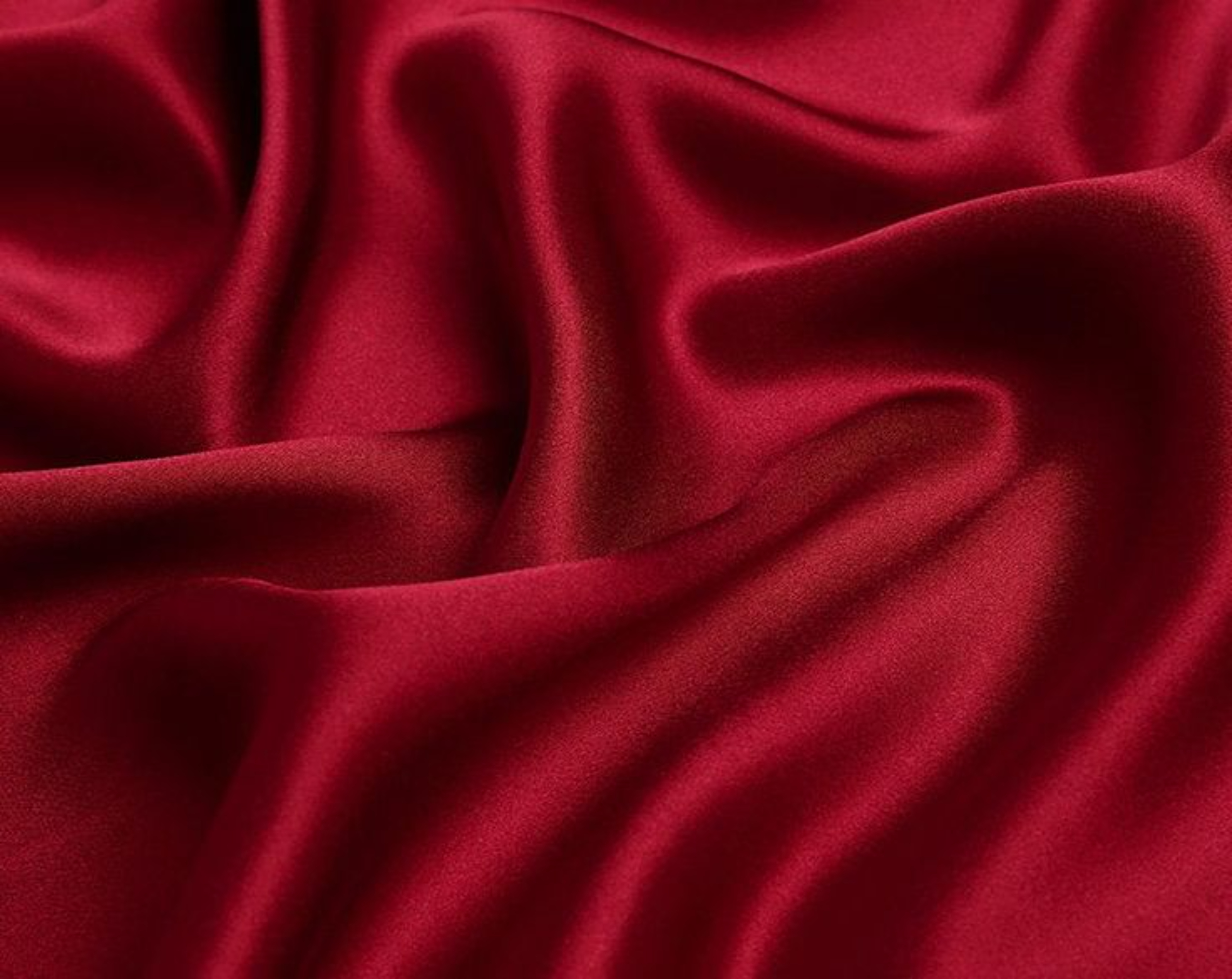 bioerotic banner image