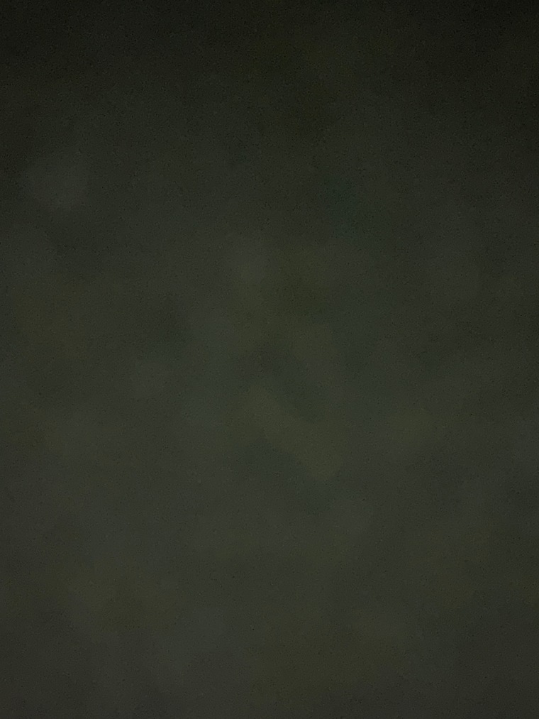Bipodi banner image