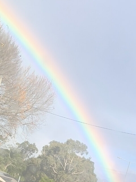 Bipolarbabyxxx 🌈🌪️ cover image