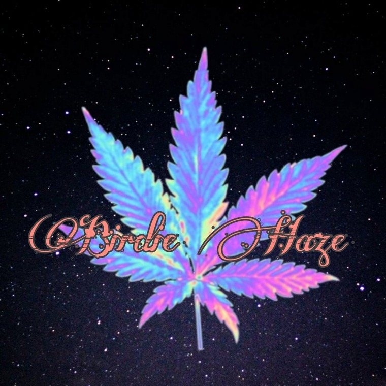 Birdie Haze cover image