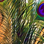 Birdie__ avatar