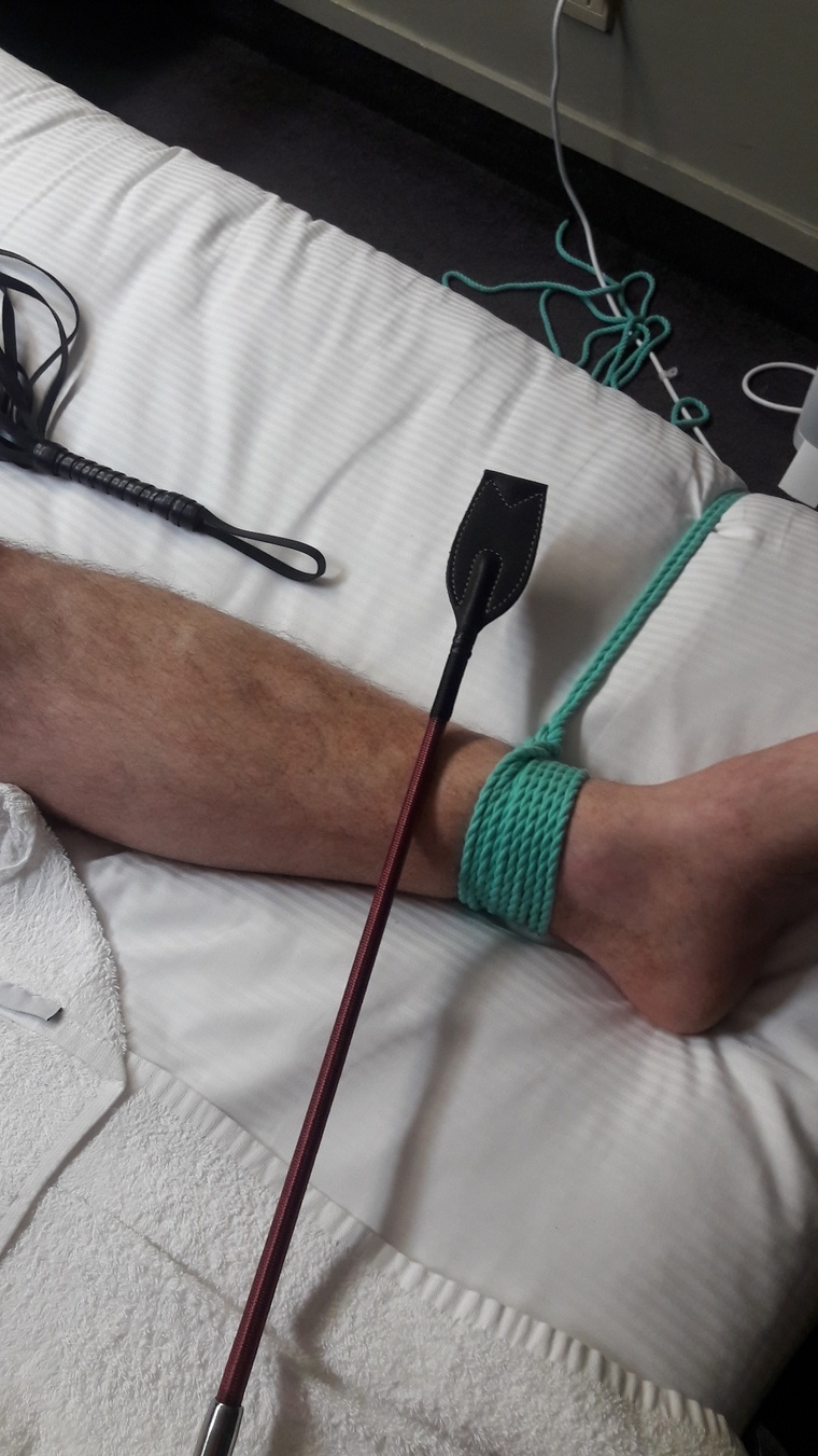 u113327786 cover image