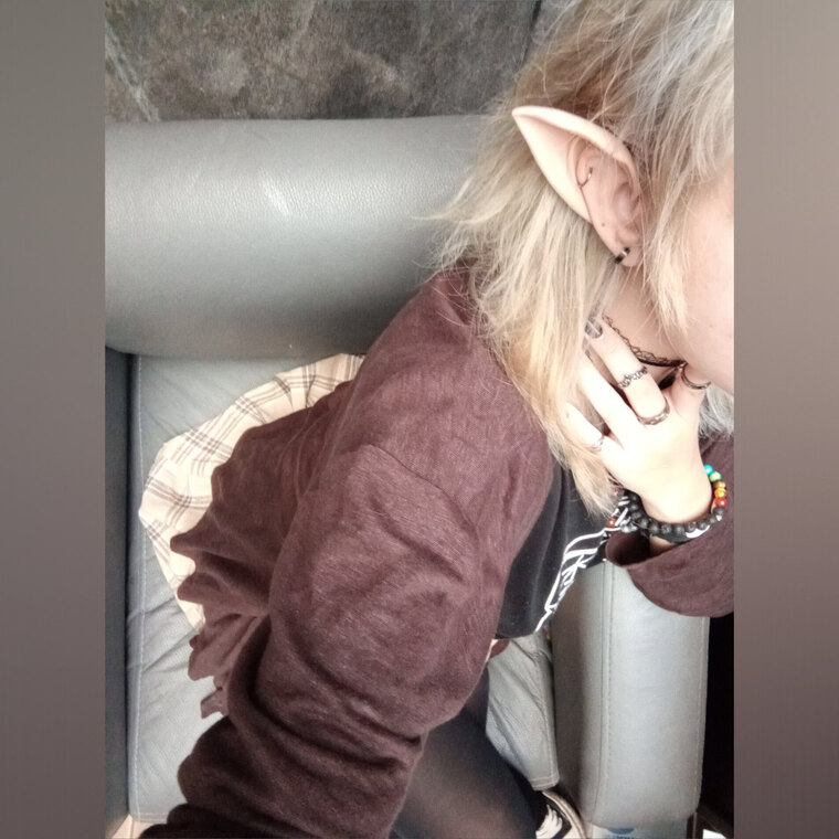 HanIsaSillyCat banner image