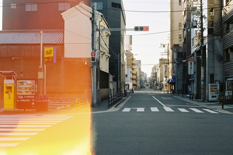 Bizee Bee ๐บ ๐ป banner image