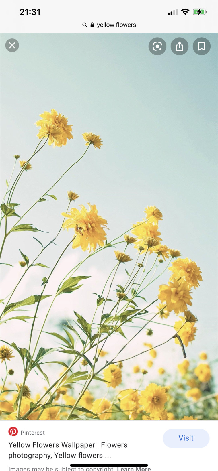 Feet for fun banner image