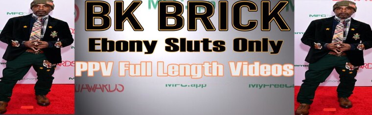 Mr, Brickzilla The Don Of All Worldz cover image