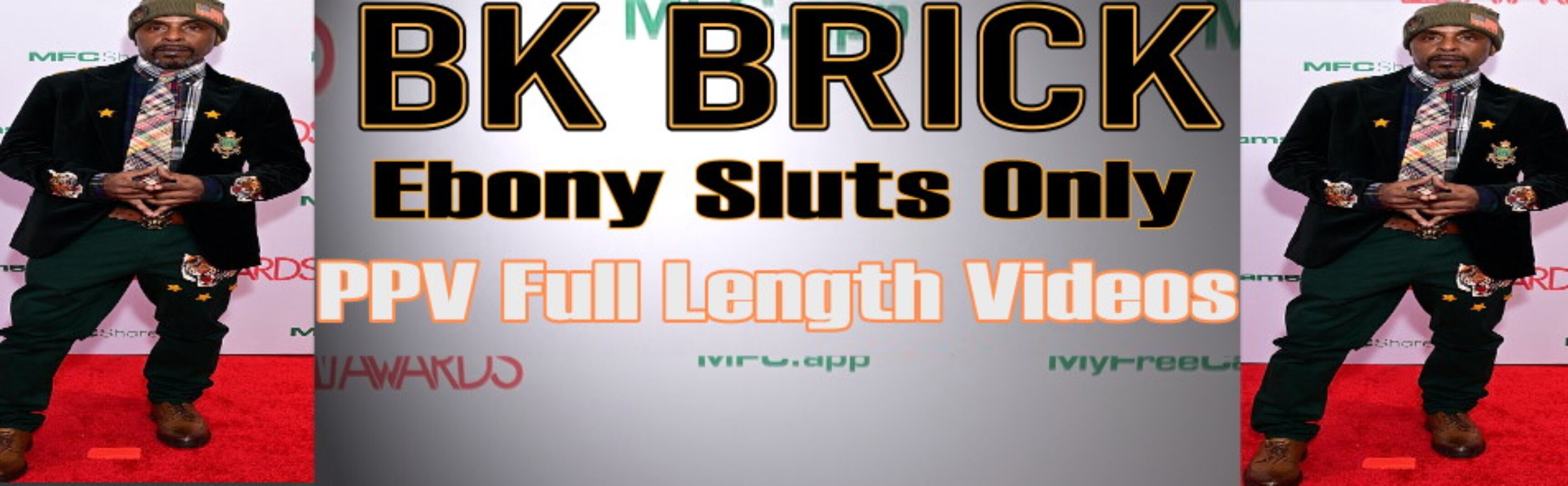 Mr, Brickzilla The Don Of All Worldz banner image