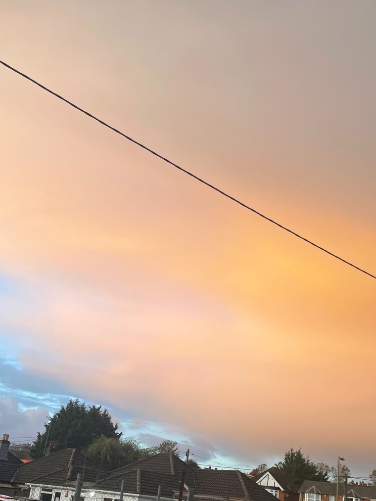 blondie banner image