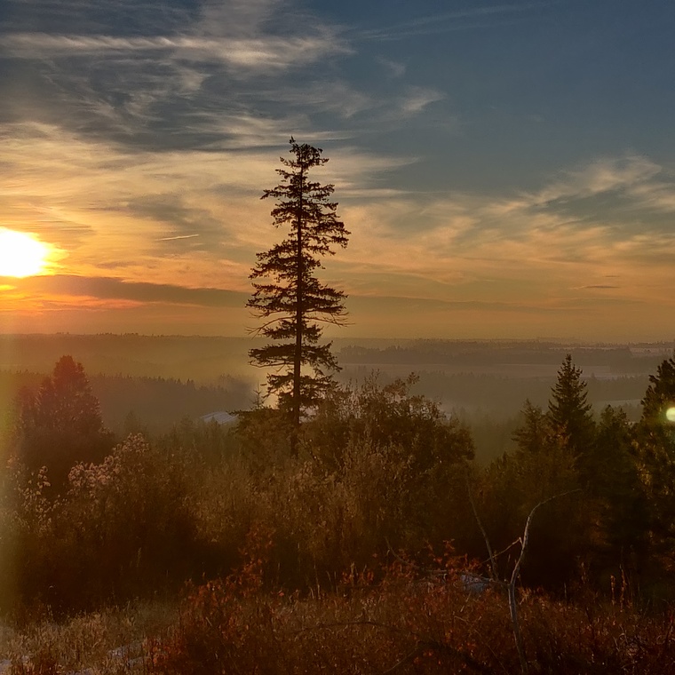 Tony Soleim banner image